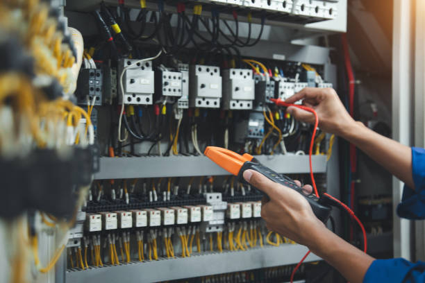 Best Electric Panel Repair  in Hutchinson, MN